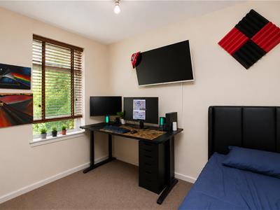 Picture 7